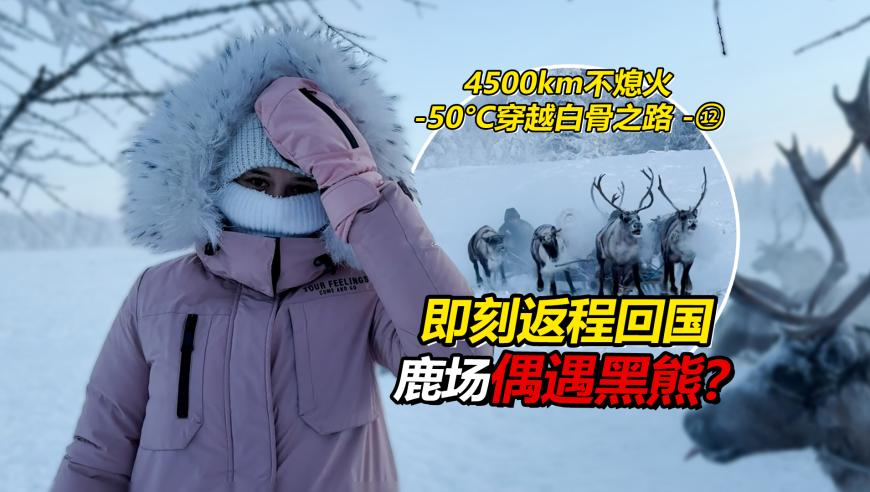 难哄大结局,2025年澳门今晚特马开奖查询,精准解释落实及其象征意义_豪华版V6.6